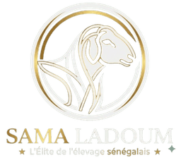 Sama Ladoum